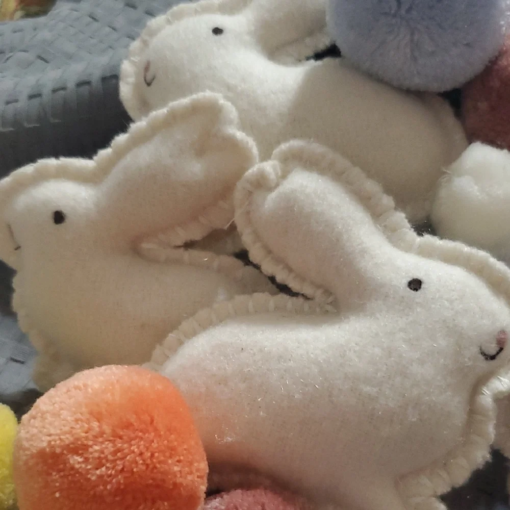 Plush Bunny and Pom Pom Set